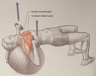 kurzhandeldruecken-auf-dem-gymnastikball